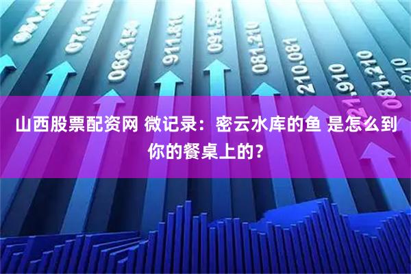 山西股票配资网 微记录：密云水库的鱼 是怎么到你的餐桌上的？