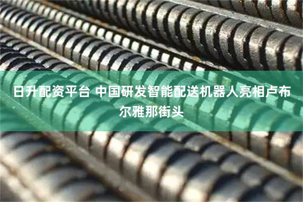 日升配资平台 中国研发智能配送机器人亮相卢布尔雅那街头