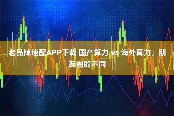 老品牌速配APP下载 国产算力 vs 海外算力，朋友圈的不同