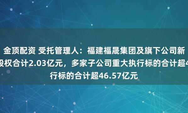 金顶配资 受托管理人：福建福晟集团及旗下公司新增被冻结股权合计2.03亿元，多家子公司重大执行标的合计超46.57亿元